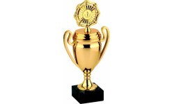 Trophy 9579 - 24cm - Gold