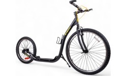 Paspirtukas inSPORTline Parduber 26/20"