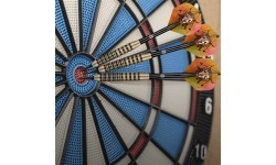 Дротики Shot Value Range Talisman Brass Soft, 3 шт.