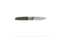 Ganzo Firebird folding knife G7211-GR