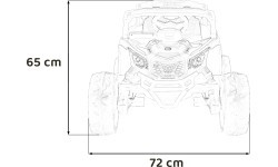 Vehicle ATV CAN-AM Maverick Pink
