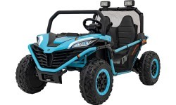Vehicle Buggy FASTER Blue