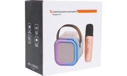 Karaoke Microphone and Speaker Set
