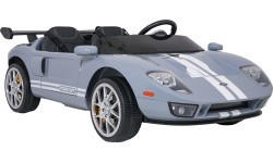 Vehicle Ford GT Gray