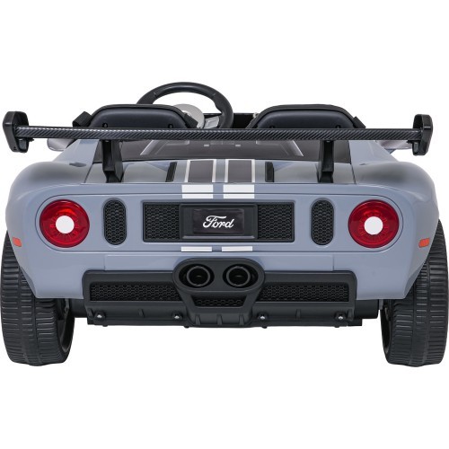 Vehicle Ford GT Gray
