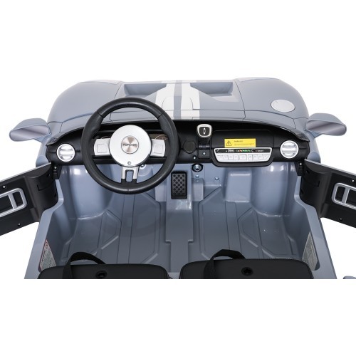 Vehicle Ford GT Gray