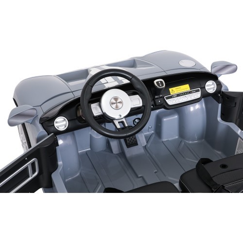 Vehicle Ford GT Gray