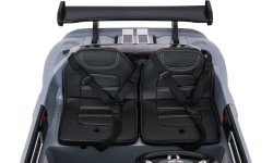 Vehicle Ford GT Gray