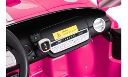 Ford GT Pink Vehicle