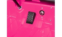 Ford GT Pink Vehicle