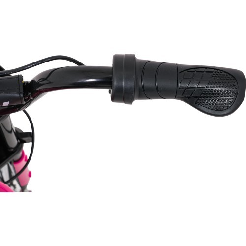 Vehicle Motor RZ56 MAX Pink