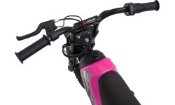 Electric Motor Vehicle SHARK Pink