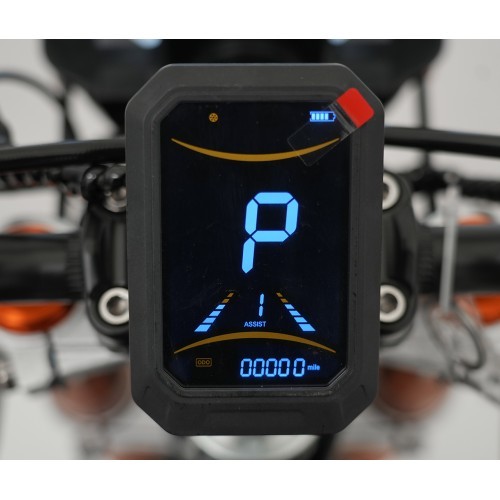 Elektrinė transporto priemonė E-RIDER X, juoda