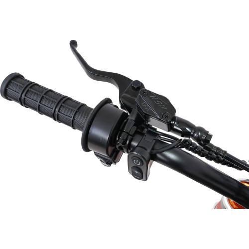 Электрический транспорт E-RIDER X, чёрный