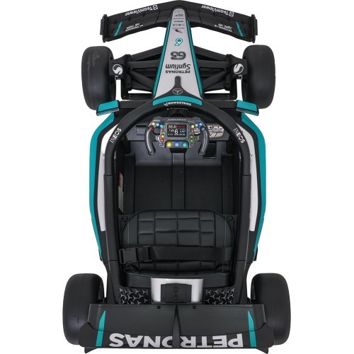 Vehicle AMG PETRONAS F1 Black Racing Car