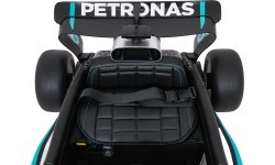 Vehicle AMG PETRONAS F1 Black Racing Car