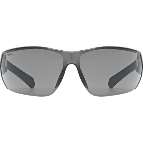 Очки Uvex Equate Black Matt / Smoke