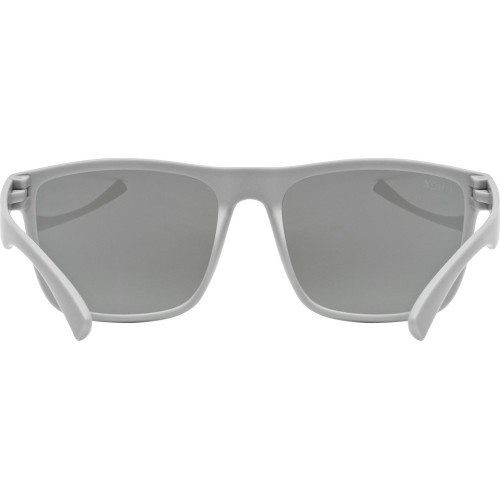 Очки Uvex Rookie Grey Matt / Mirror Blue