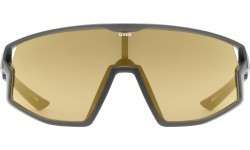 Очки Uvex smoke matt / mirror gold