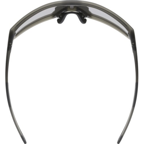Очки Uvex smoke matt / mirror gold