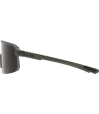 Очки Uvex Dirt smoke matt / smoke