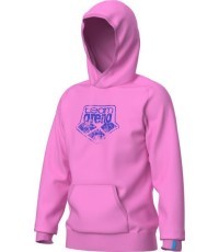 Arena Logo džemperis su gobtuvu, orchidėjų spalvos, 3XL - 900