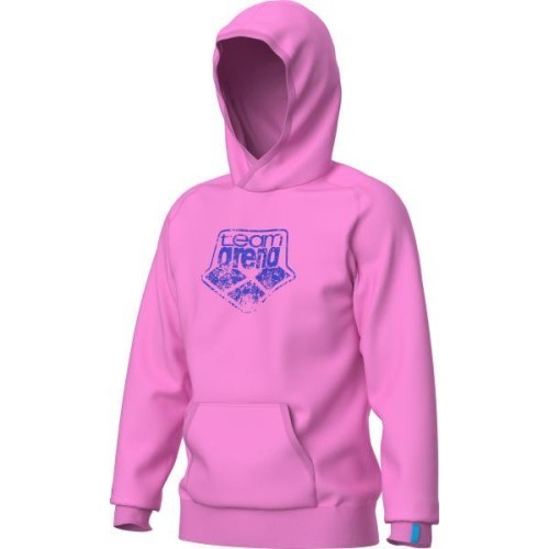 Arena Logo džemperis su gobtuvu, orchidėjų spalvos, 3XL - 900