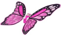 Butterfly Wings Set + Rainbow Dress