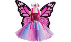 Butterfly Wings Set + Rainbow Dress