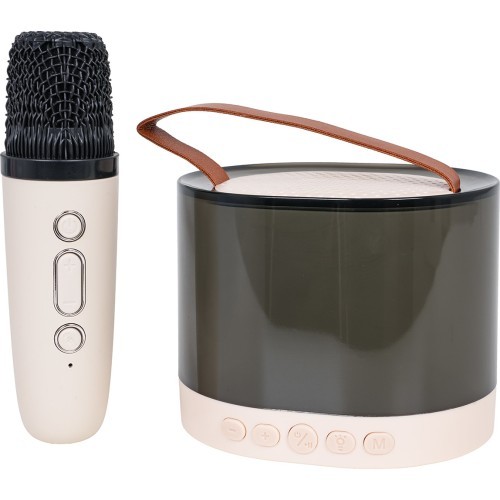 Karaoke Microphone + Illuminated Speaker Set