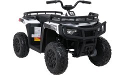 Электроквадроцикл WOLF 4x4 ATV Quad белый