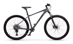 CROSS Xtreme 10 - 29" MTB, 10-speed, size 16.5" (42 cm), grey