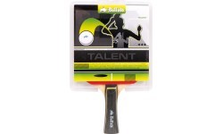 Table Tennis Bat Buffalo Talent 