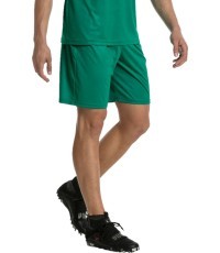 Футбольные шорты Puma Liga Core, Pepper Green