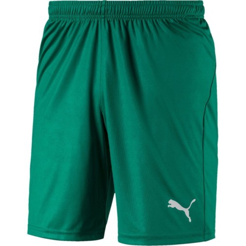 Puma Liga Core football shorts, Pepper Green