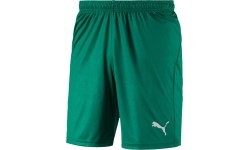Puma Liga Core football shorts, Pepper Green