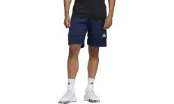 Баскетбольные шорты Adidas 3G Speed Rev сине-белые DY6602