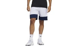 Баскетбольные шорты Adidas 3G Speed Rev сине-белые DY6602
