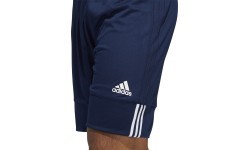 Баскетбольные шорты Adidas 3G Speed Rev сине-белые DY6602