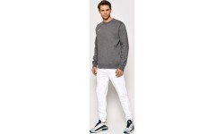 Мужской свитшот Nike Park Crew, серый, CW6902 071