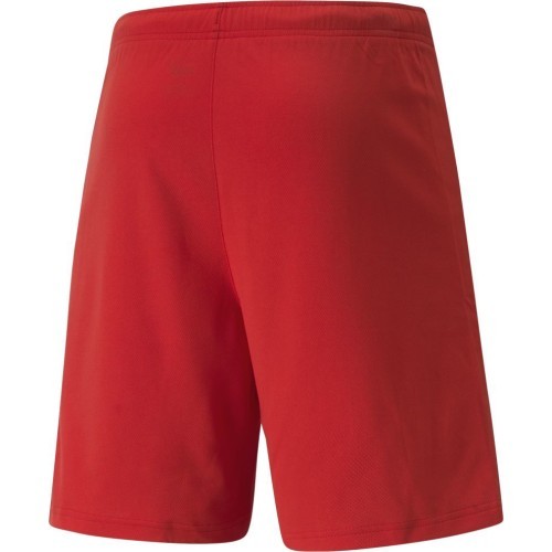 Puma Teamrise Men's Sports Shorts Red 704942 01