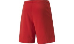 Puma Sportiniai Šortai Vyrams Teamrise Short Red 704942 01