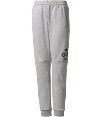 Подростковые брюки Adidas YB SID Pants Grey CF2457