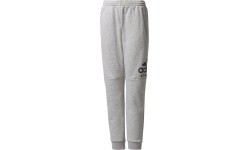 Adidas Kelnės Paaugliams Yb Sid Pants Grey CF2457
