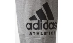 Adidas Kelnės Paaugliams Yb Sid Pants Grey CF2457