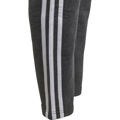 Adidas Kelnės Paaugliams Yb 3S Ft Pants Grey DJ1794