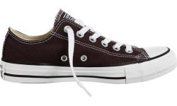 Converse Sportbačiai Ox Seasonal Sn71 149523C