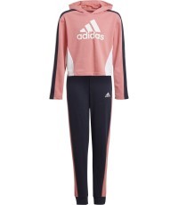 Спортивный костюм для девочек Adidas G Hooded Crop Ts Black Pink GM8933