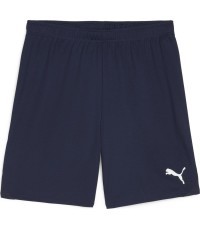 Мужские шорты Puma TeamGoal, тёмно-синие 705752 06
