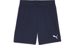 Puma Šortai Vyrams TeamGoal Shorts Navy 705752 06